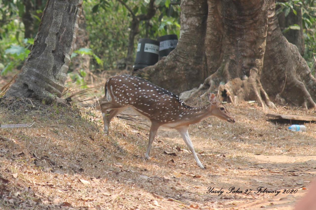 Woodside Homestay Wayanad Batheri Exteriér fotografie
