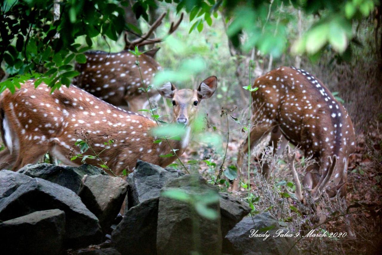 Woodside Homestay Wayanad Batheri Exteriér fotografie